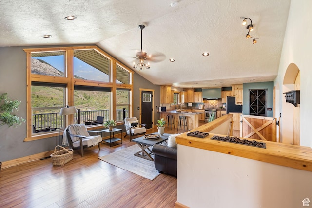 2013 N River View Cir, Huntsville, UT 84317 - living area with a textured ceiling, light wood-style floors, lofted ceiling, baseboards, and recessed lighting