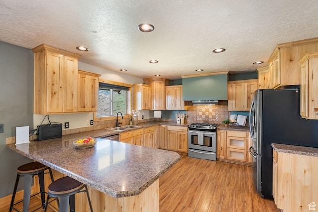 2013 N River View Cir, Huntsville, UT 84317 - kitchen with appliances with stainless steel finishes, light brown cabinetry, a sink, a peninsula, and light wood-type flooring