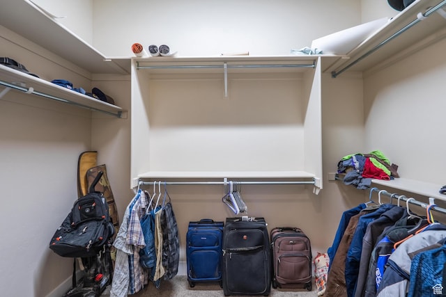 walk in closet featuring carpet flooring