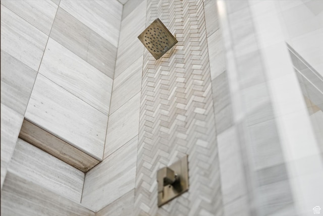 732 S Nebo Cir, Woodland Hills, UT 84653 - bathroom view of tiled shower