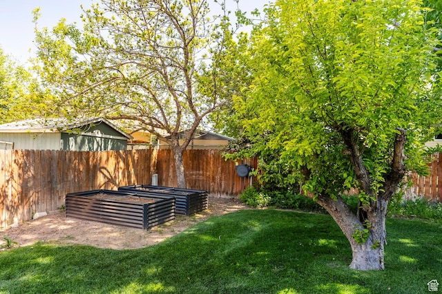 view of yard with a vegetable garden