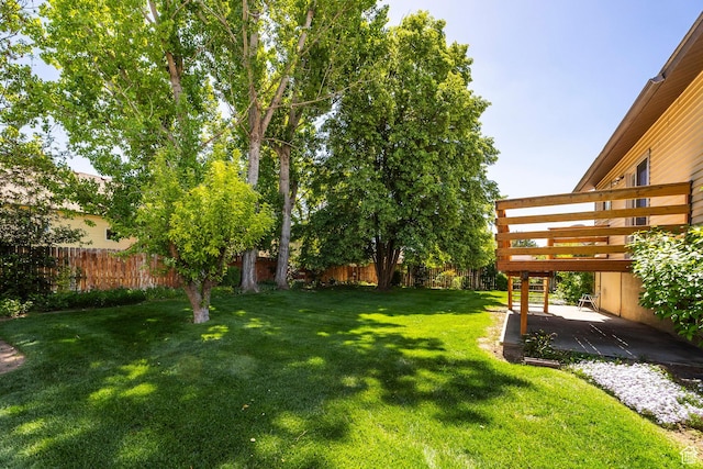 view of yard with a patio area and a deck
