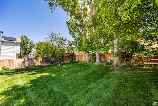 view of yard
