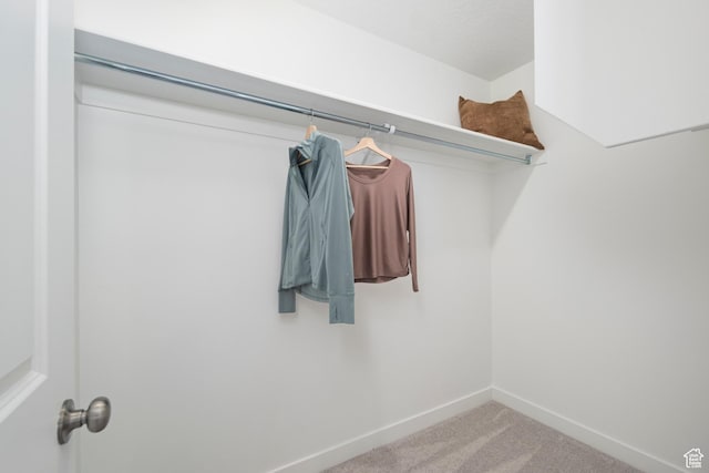 walk in closet featuring carpet flooring