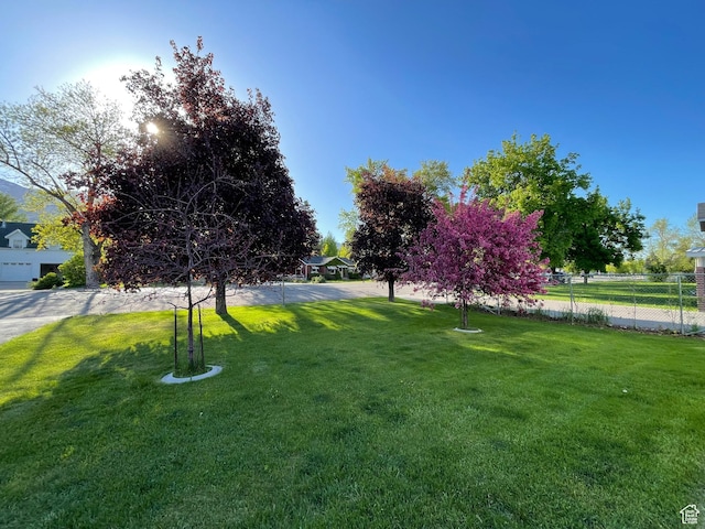 15 E Main, Wellsville, UT 84339 - view of yard