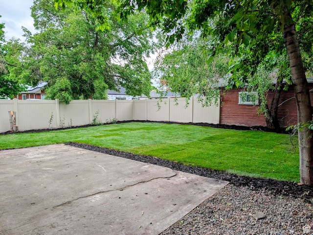 view of yard featuring a patio