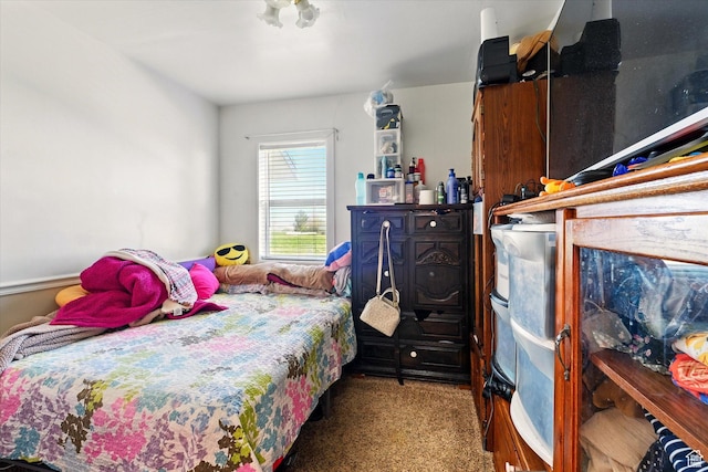 1317 S 400 E, Trenton, UT 84338 - view of carpeted bedroom