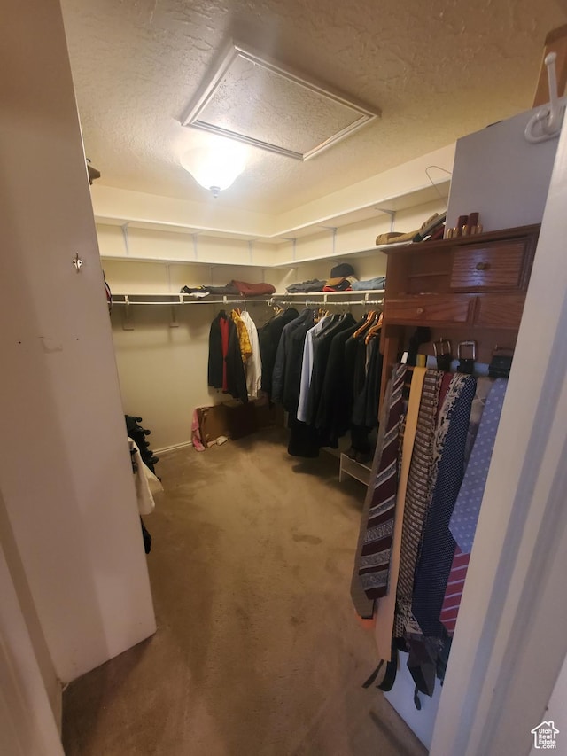 22 Snowstar Ln, Sandy, UT 84092 - spacious closet featuring carpet floors and attic access