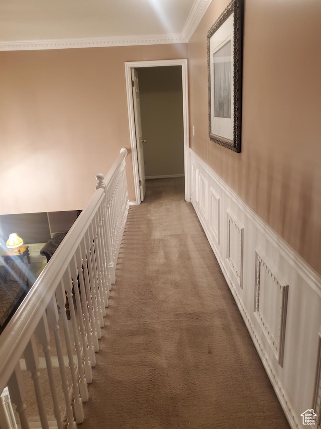 22 Snowstar Ln, Sandy, UT 84092 - hall with carpet flooring, ornamental molding, and a wainscoted wall