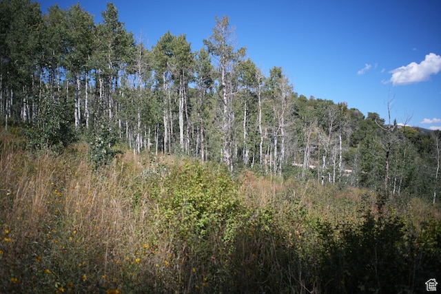2481 Forest Meadow Rd Unit D91, Wanship, UT 84017
