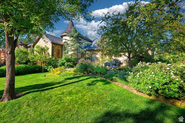 view of grassy yard