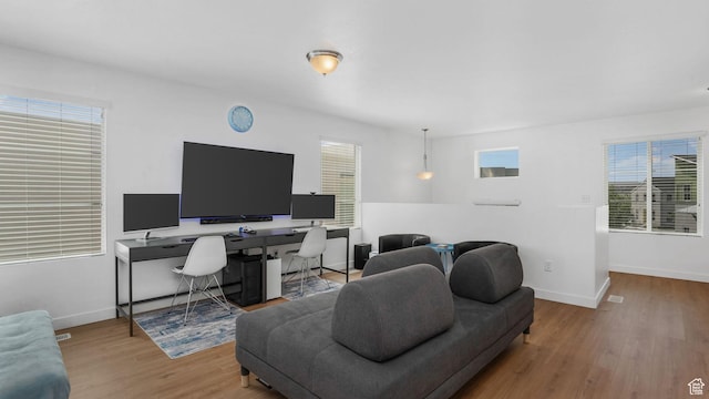 living area with baseboards, wood finished floors, and plenty of natural light
