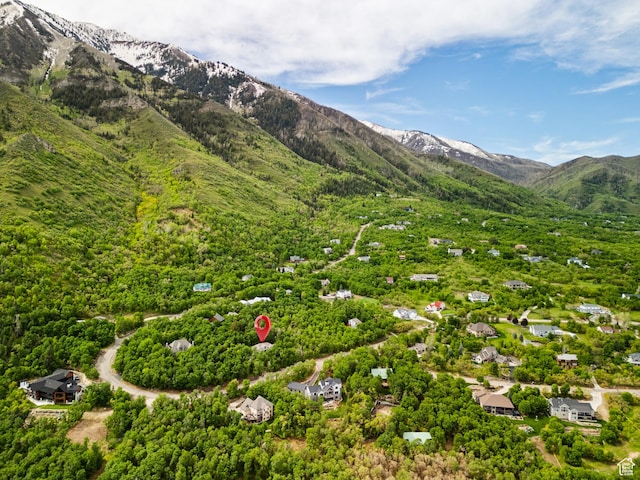 mountain view