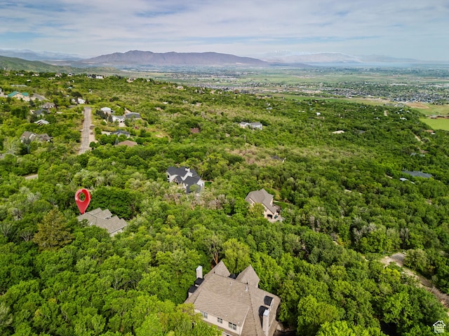 bird's eye view of a forest and a mountainous background