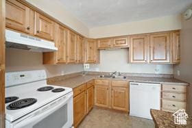 kitchen with white appliances, under cabinet range hood, and a sink