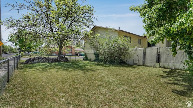 view of yard