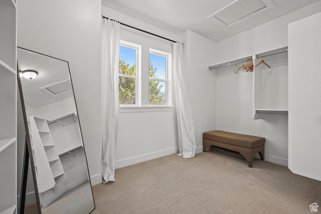 spacious closet featuring attic access and carpet floors