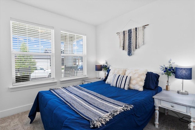 40 E 920 N, Santaquin, UT 84655 - carpeted bedroom with baseboards