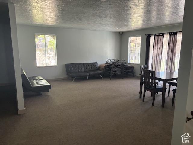 8 W Rio Grande Pl, West Jordan, UT 84088 - dining space featuring carpet flooring, plenty of natural light, a textured ceiling, and baseboards