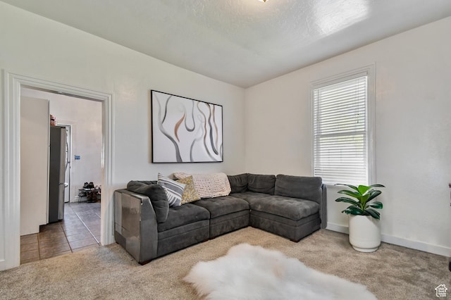view of carpeted living area