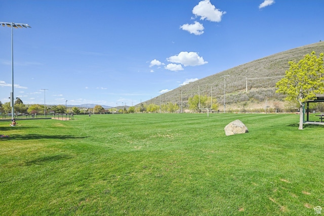 view of property's community featuring a mountain view and a lawn