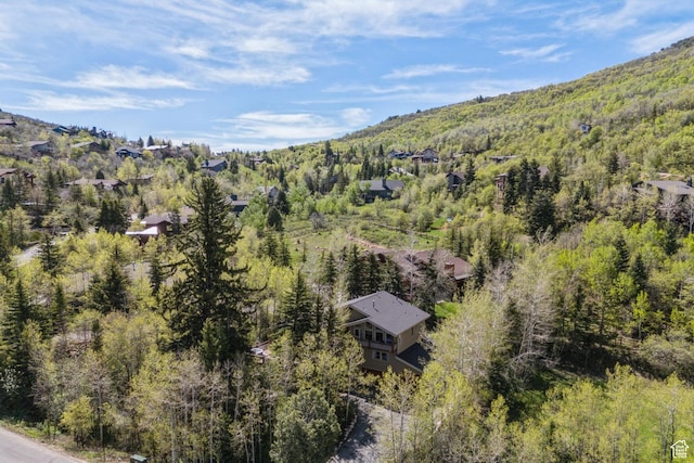 3339 W Big Spruce Way, Park City, UT 84098 - bird's eye view of a forest