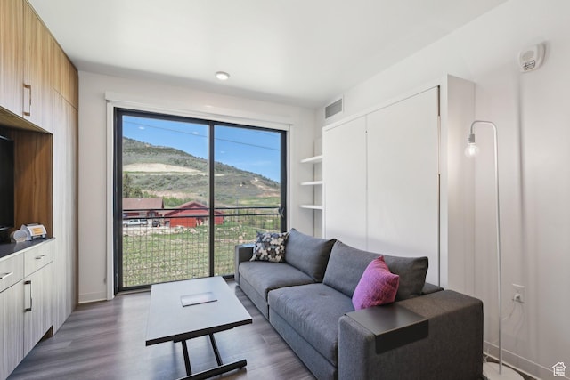 2670 Canyons Resort Dr Unit 238, Park City, UT 84098 - living area with dark wood-style flooring and built in features