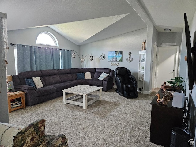550 S Stump Hollow Rd, Garden City, UT 84028 - carpeted living room featuring vaulted ceiling