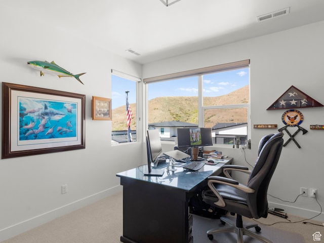 office space featuring carpet floors and baseboards