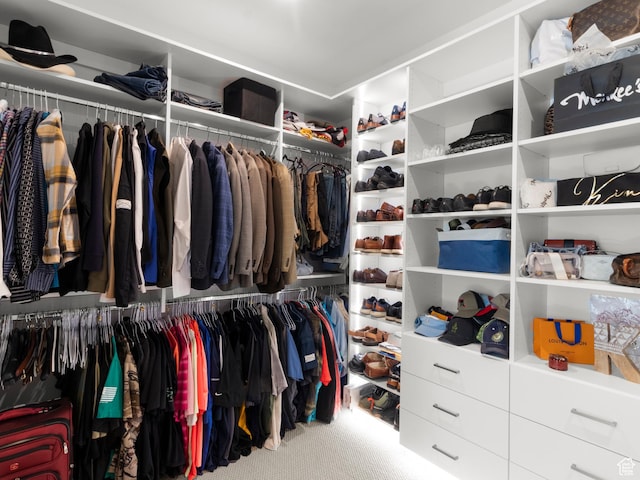 spacious closet featuring carpet flooring