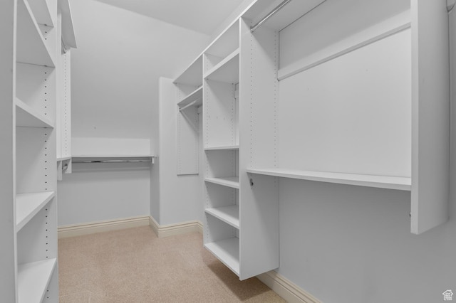 81 E Lone Hollow Dr S, Sandy, UT 84092 - walk in closet featuring carpet floors