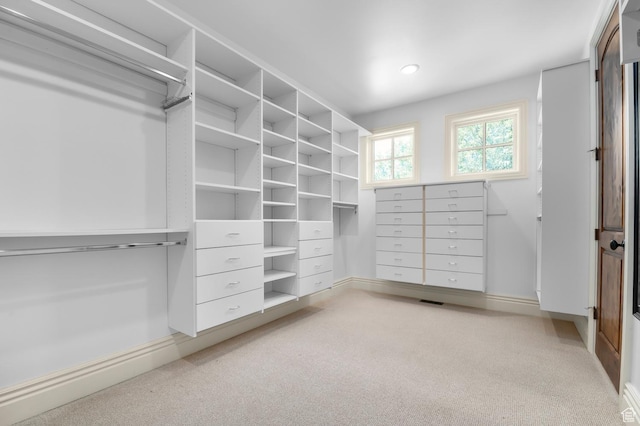 81 E Lone Hollow Dr S, Sandy, UT 84092 - walk in closet featuring light colored carpet