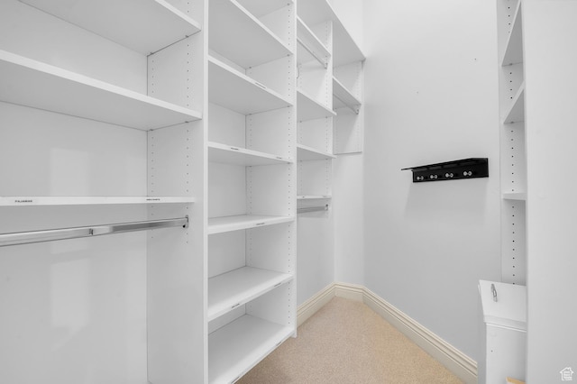81 E Lone Hollow Dr S, Sandy, UT 84092 - walk in closet with carpet floors