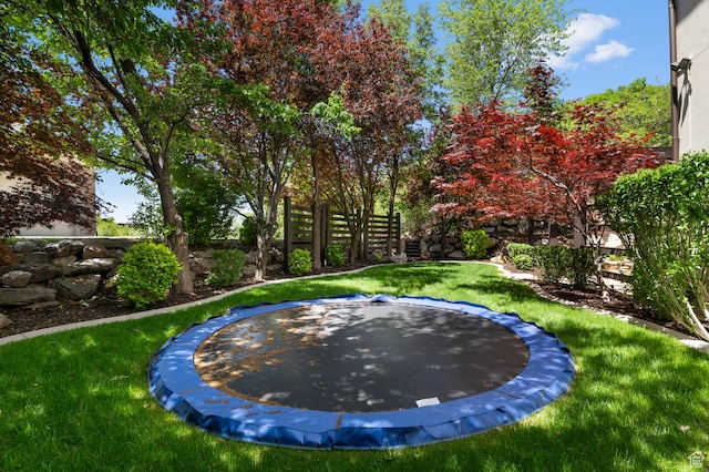 81 E Lone Hollow Dr S, Sandy, UT 84092 - view of yard with a trampoline