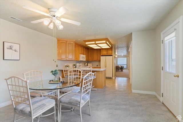 269 River Cove Dr, Morgan, UT 84050 - dining room with baseboards, ceiling fan, and a textured ceiling