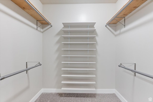walk in closet with carpet flooring