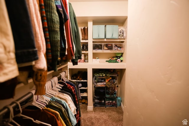 2817 S 1415 W, Syracuse, UT 84075 - spacious closet with carpet