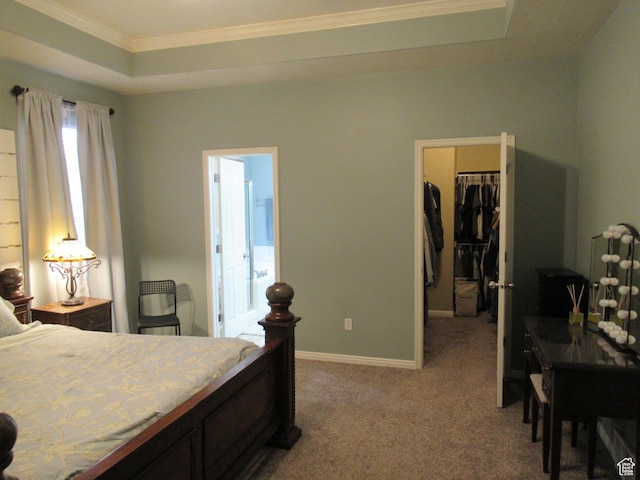 bedroom with a spacious closet, ornamental molding, carpet floors, a raised ceiling, and a closet