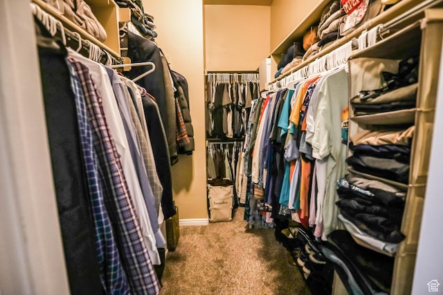2817 S 1415 W, Syracuse, UT 84075 - walk in closet with carpet