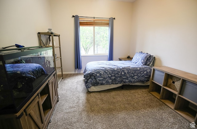 2817 S 1415 W, Syracuse, UT 84075 - bedroom featuring carpet floors and baseboards