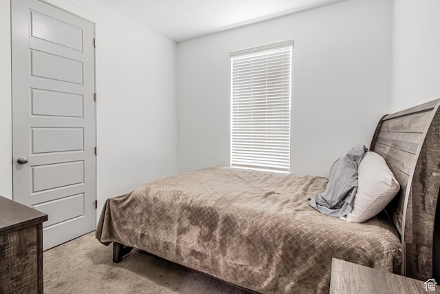 2994 S Tangent Peak Rd, Magna, UT 84044 - view of carpeted bedroom