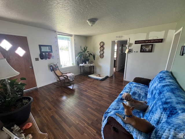 living room featuring wood finished floors, a textured ceiling, and baseboards