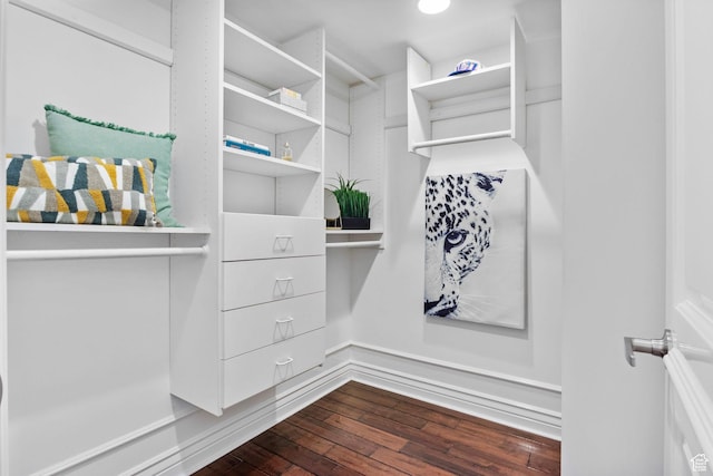walk in closet featuring dark wood-style flooring