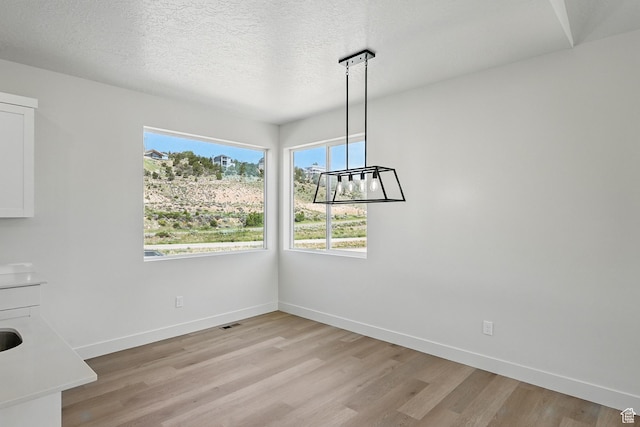 732 S Liberty Dr S, Cedar City, UT 84720 - unfurnished dining area featuring healthy amount of natural light, light wood-type flooring, baseboards, and a textured ceiling