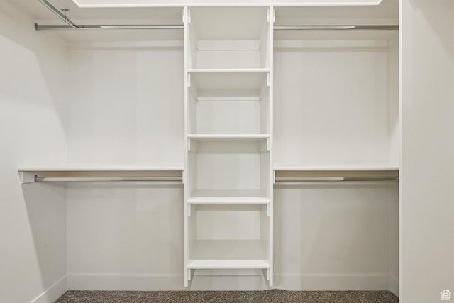 732 S Liberty Dr S, Cedar City, UT 84720 - view of spacious closet