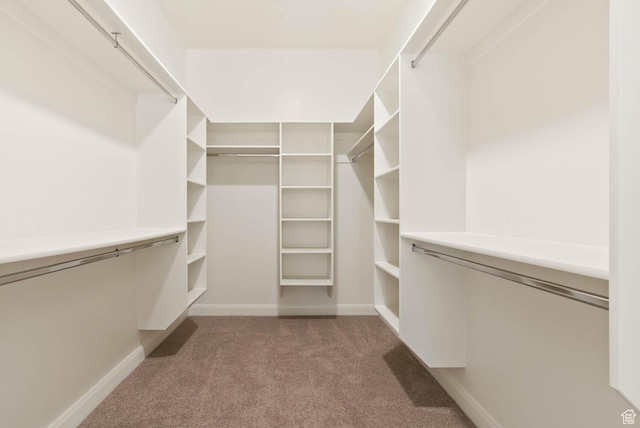 3134 S 355 W, Washington, UT 84780 - walk in closet featuring carpet flooring