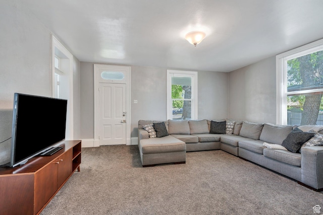 carpeted living area featuring healthy amount of natural light