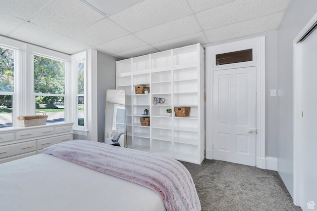 carpeted bedroom with a drop ceiling and baseboards