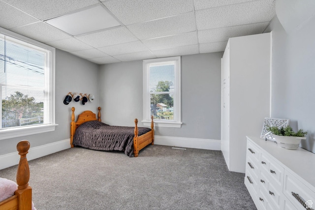 carpeted bedroom featuring multiple windows, a drop ceiling, and baseboards