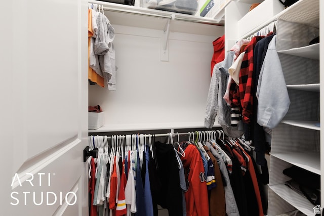 view of walk in closet